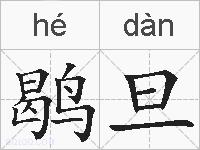 鹖旦的拼音