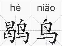 鹖鸟的拼音