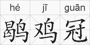 鹖鸡冠的拼音