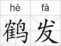 鹤发的拼音