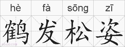 鹤发松姿的拼音