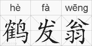 鹤发翁的拼音
