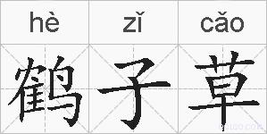 鹤子草的拼音
