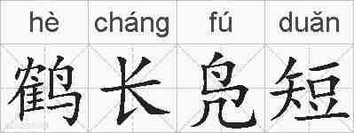 鹤长凫短的拼音