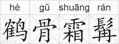 鹤骨霜髯的拼音