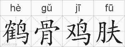鹤骨鸡肤的拼音