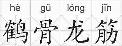 鹤骨龙筋的拼音