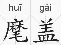 麾盖的拼音