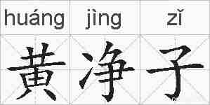 黄净子的拼音