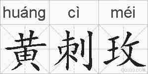 黄刺玫的拼音