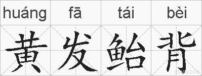 黄发鲐背的拼音