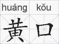 黄口的拼音