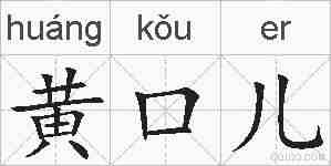 黄口儿的拼音