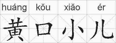 黄口小儿的拼音