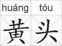 黄头的拼音