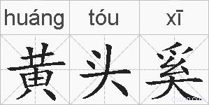 黄头奚的拼音