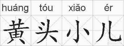 黄头小儿的拼音
