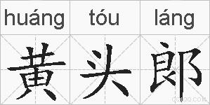 黄头郞的拼音