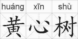 黄心树的拼音