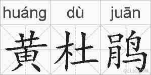 黄杜鹃的拼音