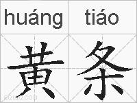 黄条的拼音