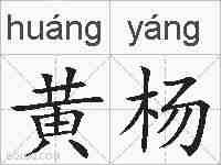 黄杨的拼音
