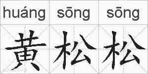黄松松的拼音