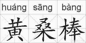 黄桑棒的拼音