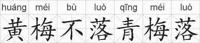 黄梅不落青梅落的拼音