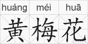 黄梅花的拼音