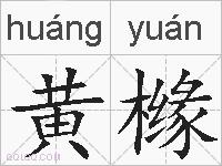 黄橼的拼音