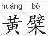 黄檗的拼音