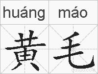黄毛的拼音
