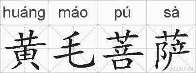 黄毛菩萨的拼音