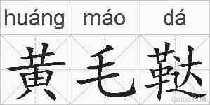黄毛鞑的拼音