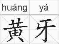 黄牙的拼音