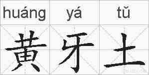 黄牙土的拼音