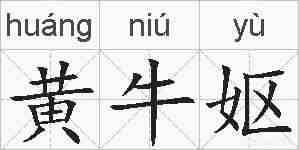 黄牛妪的拼音