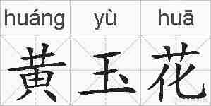黄玉花的拼音