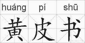 黄皮书的拼音