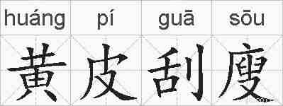 黄皮刮廋的拼音