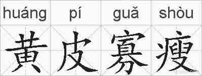 黄皮寡瘦的拼音