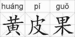 黄皮果的拼音