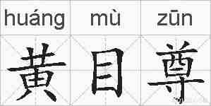 黄目尊的拼音