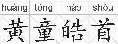 黄童皓首的拼音