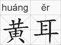 黄耳的拼音