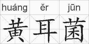 黄耳菌的拼音