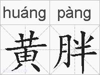 黄胖的拼音