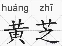 黄芝的拼音