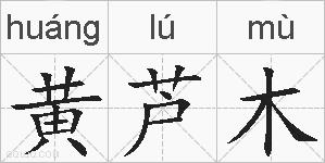 黄芦木的拼音